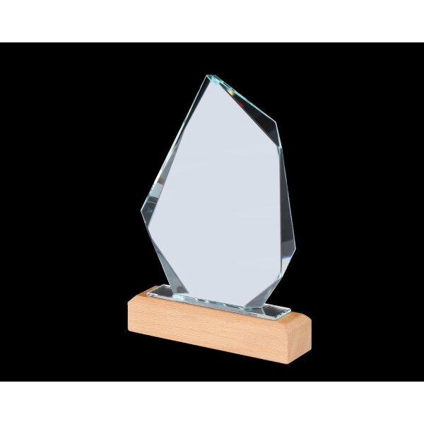 Glas-Holz Award 220mm, Stärke 12mm