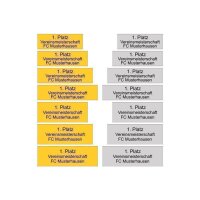 Pokalschild selbstklebend inkl. Gravur XXL 150 mm 30 mm...