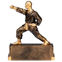 Resinfigur Kampfsport 120mm
