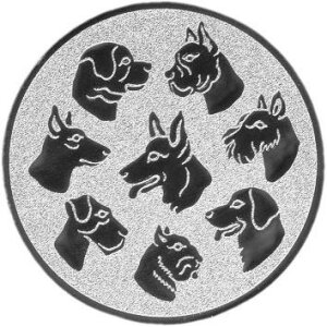 Hundesport 1