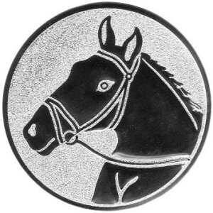 Reiten Pferdekopf
